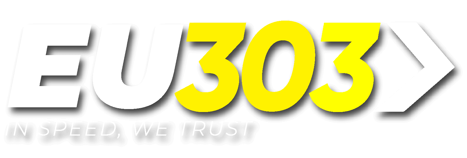 EU303 Logo